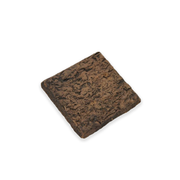 CeramicNature Plant Square Platte fr Moose & Aufsitzer | Aquariumdeko